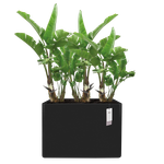 june brick divider 80cm noir